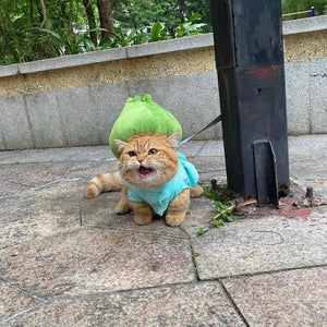 Pre-Sale 2024 Trend Costume for Cats