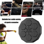 Load image into Gallery viewer, 2023 Trend Boxing Training Wall Mounted Punching Pad
